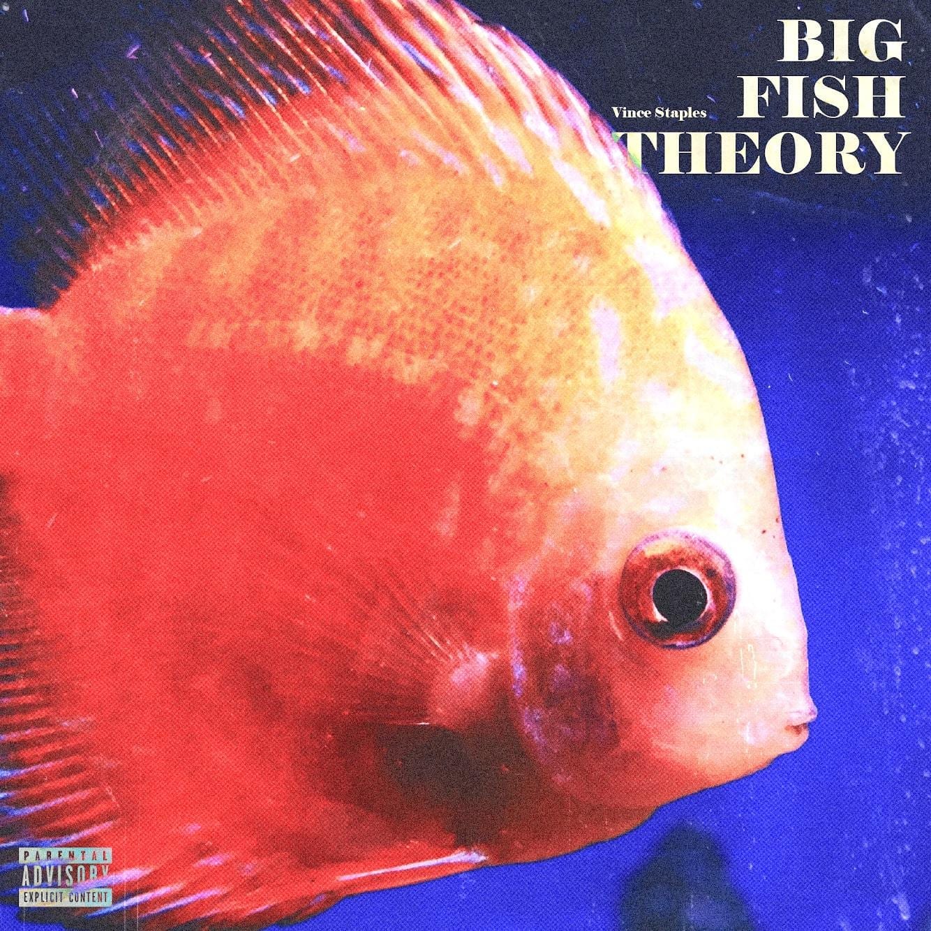 Big Fish Theory