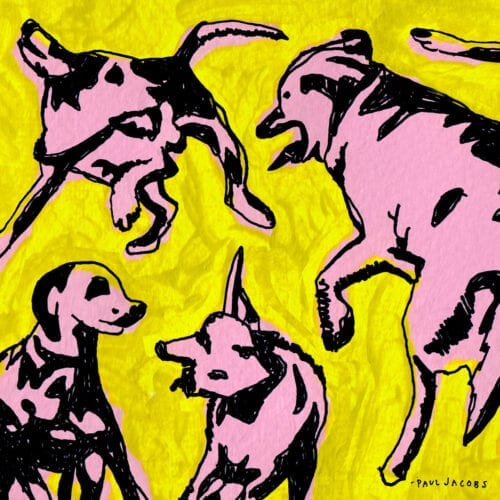 Paul Jacobs / Pink Dogs on the Green Grass