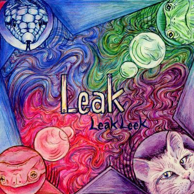 LeakLeek – Leak