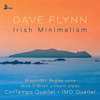 Dave Flynn – Irish Minimalism