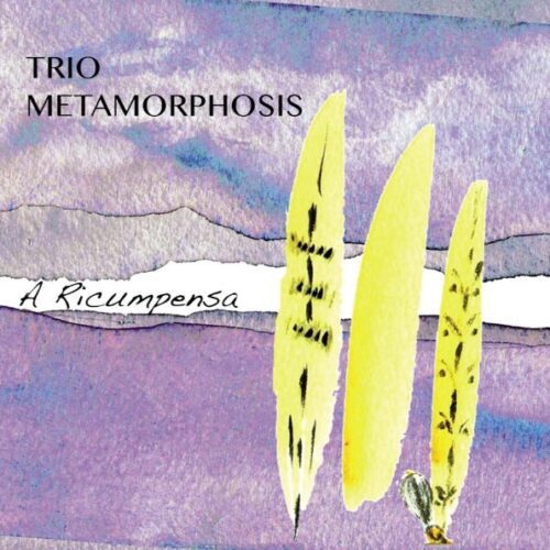 Trio Metamprphosis – A Ricumpensa