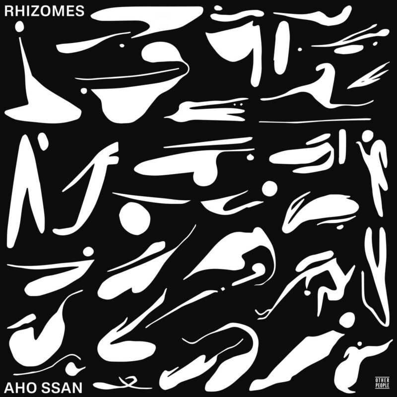 aho-ssan-rhizomes-pan-m-360