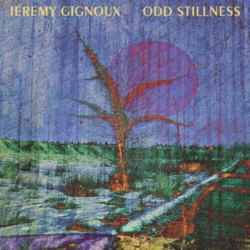 Jeremy Gignoux – Odd Stillness