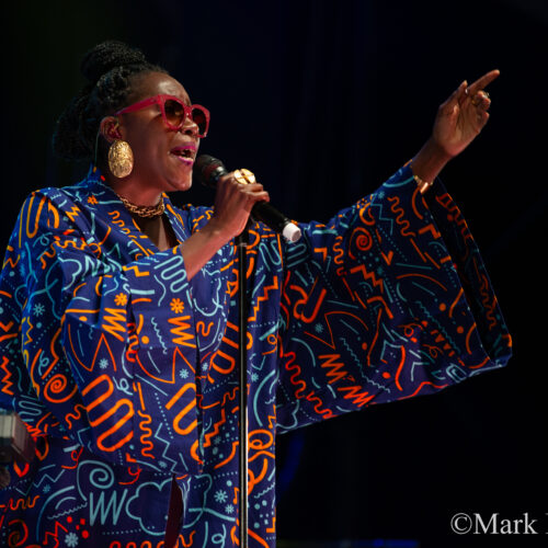 PAN M 360 at Nuits d’Afrique – Valérie Ékoumè: A Multicultural Afro-Rock Party