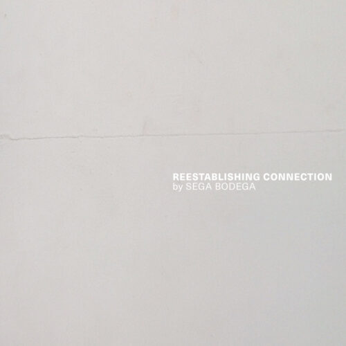 Sega Bodega – Reestablishing Connections (Top Albums of 2024)