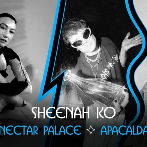 Taverne Tour : Sheenah Ko, Nectar Palace et Apacalda