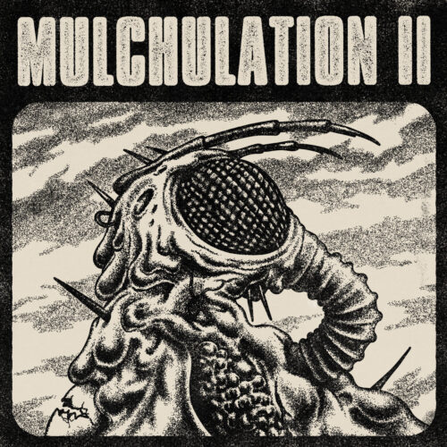 Mulchulation II | Synergie locale !