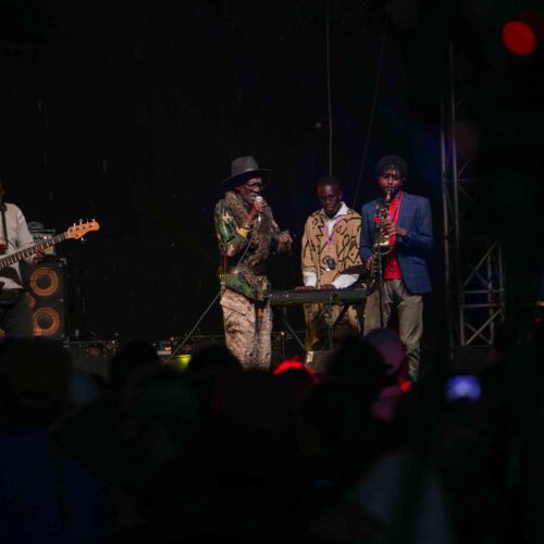 Stéréo Africa Festival – Des concerts à n’en plus finir