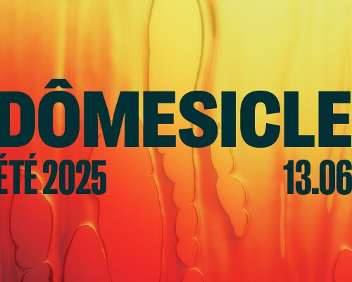 SAT : Dômesicle x Die Well — MOAB (live) • PULSUM • Rig Thrall