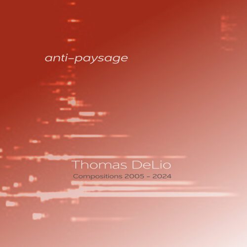 Thomas DeLio – Anti-paysage
