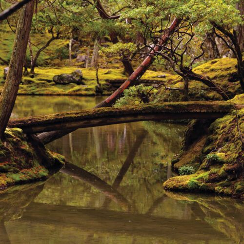 Rebecca Foon & Aliayta Foon-Dancoes – Reverie