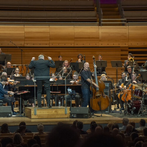 FIJM 2025 | Avishai Cohen symphonique : magie totale