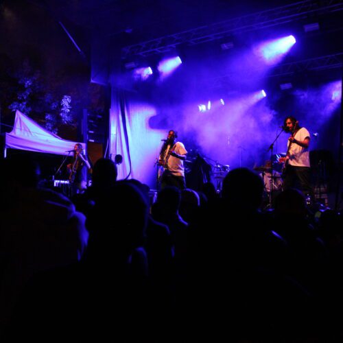 FME 2025 : The OBGMs sont-ils… Céline Dion ??