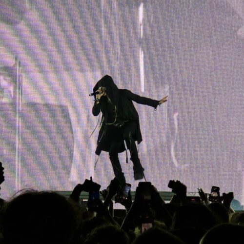 Palomosa | La jeunesse paranoïaque de Nettspend