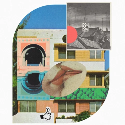 Quatuor Bozzini : a root or mirror, blossom, madder, cracks; together