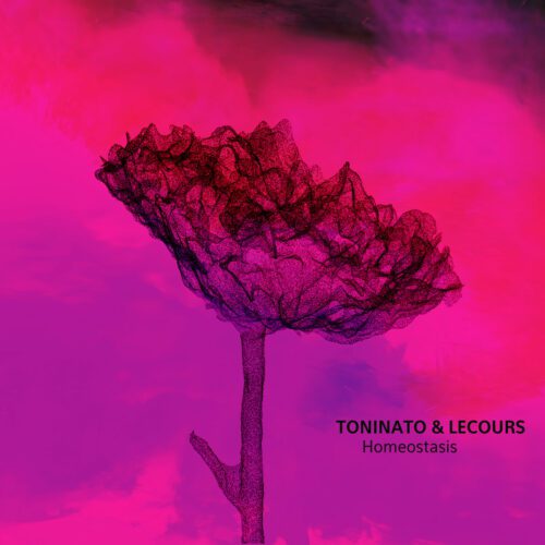 Toninato & Lecours – Homeostasis