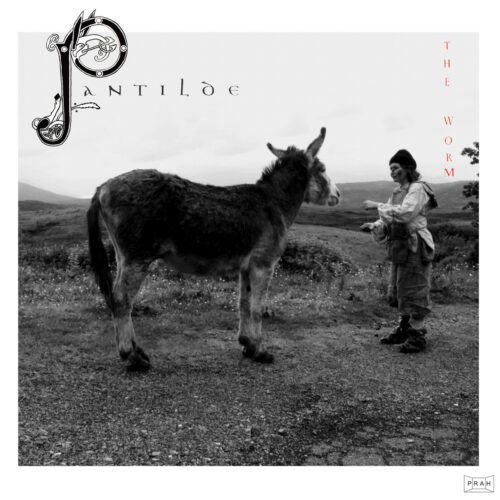 The Worm – Pantilde