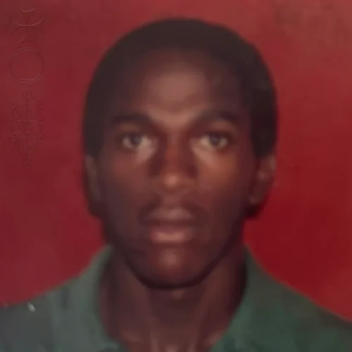 Daniel Caesar – Son of Spergy