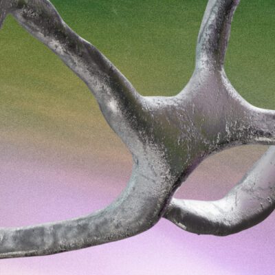 Dômesicle x Homegrown Harvest — CCL (DE) • laced • Coussy à la SAT