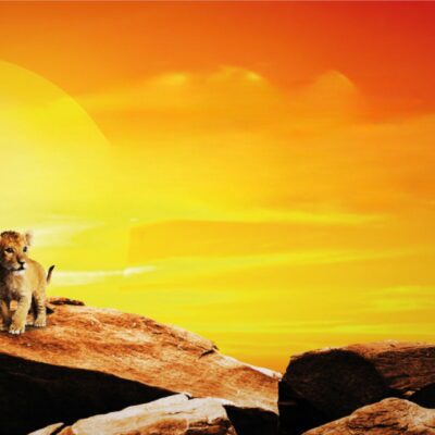 Le Roi Lion – En Concert : Hollywood Film Orchestra à la salle Raoul-Jobin