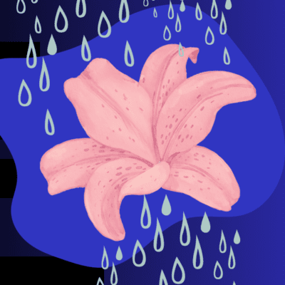 Voces boréales : Du Saint-Laurent vers le large à la Chapelle Notre-Dame-de-Bon-Secours