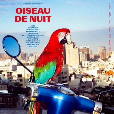Top de 2025: Antoine Corriveau – Oiseau de nuit