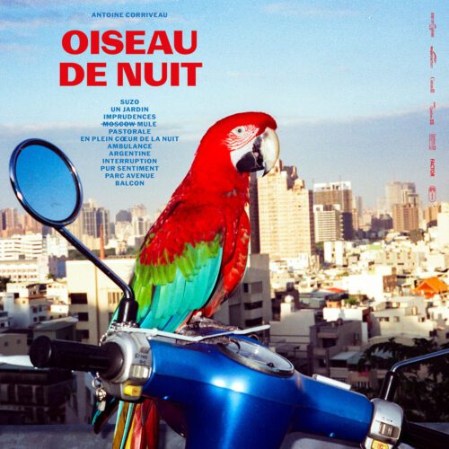 Best Albums of 2025: Antoine Corriveau – Oiseau de nuit