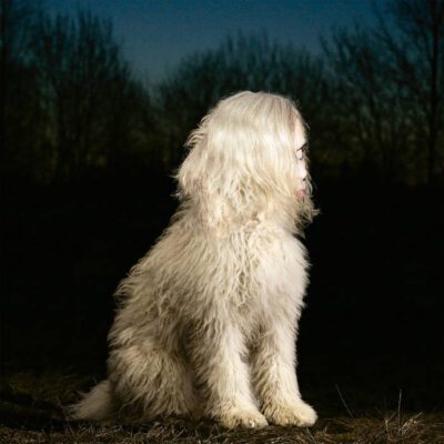 Juana Molina – Doga