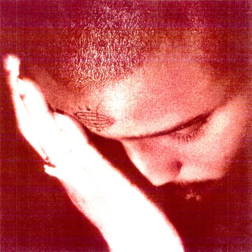 Best Albums of 2025 :  Nourished by Time – The Passionate Ones