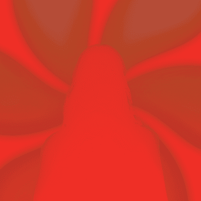 SPF INFINI à la SAT