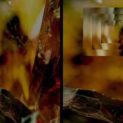 Michelle Boudreau | Ambres à la salle Claude-Léveillée