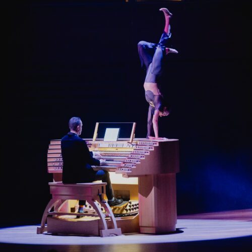 Stellaire : Orgue et cirque en accord majeur