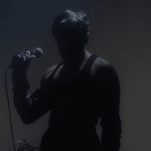 SAT | Amselysen between political fiction and product culture