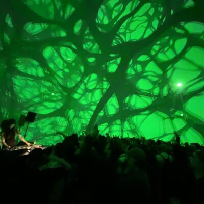 S.A.T. | The Intracellular Techno of Marie-Davidson & Wata Igarashi