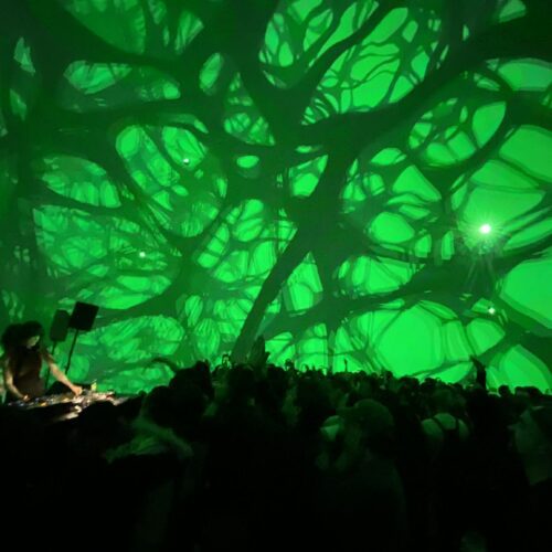 S.A.T. | The Intracellular Techno of Marie-Davidson & Wata Igarashi