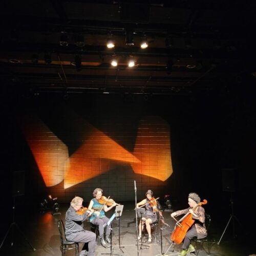 Semaine du Neuf | Quatuor Bozzini: A Journey into the Extremes of Sound
