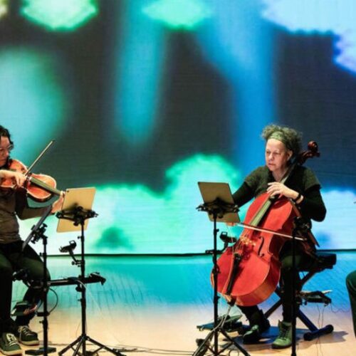 Semaine du Neuf | Bozzini, un soir où les Neuf convergent