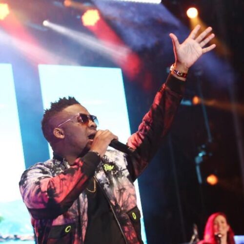 Caribbean Love : Richy Jay, entre héritage et rythmes tropicaux