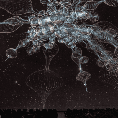 SAT | Between Dreams: When Listening Becomes Sleeping