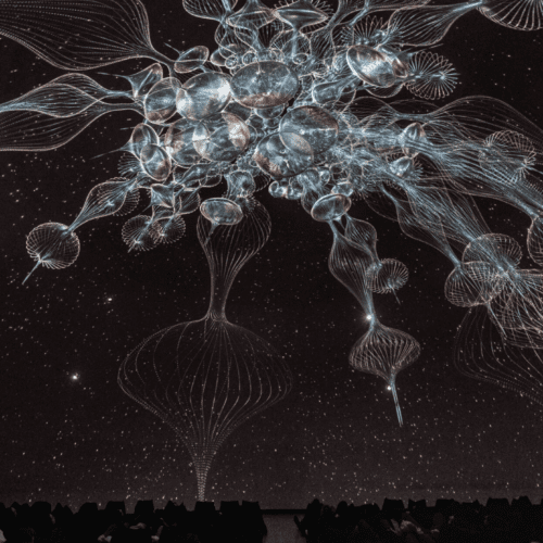 SAT | Between Dreams: When Listening Becomes Sleeping