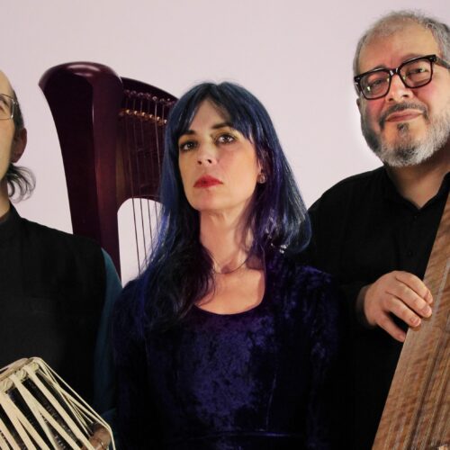Trio Amir Amiri : santour, harpe et tablas réunis