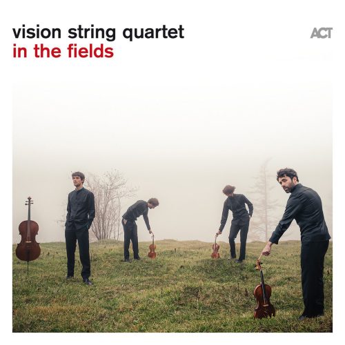Vision String Quartet – In the Fields