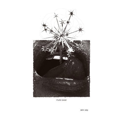 Mute Swan – Skin Slip