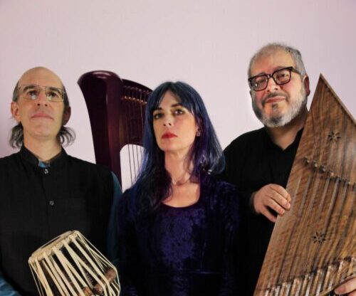 Trio Amir Amiri : santour, harpe et tablas réunis