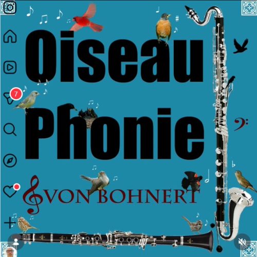 Codes d&rsquo;Accès / Traces | Noé Petit Bohnert, l&rsquo;oiseauphone