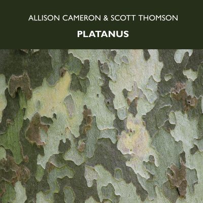 Allison Cameron/Scott Thomson – Platanus