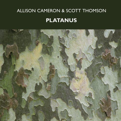 Scott Thompson/Allison Cameron – Platanus