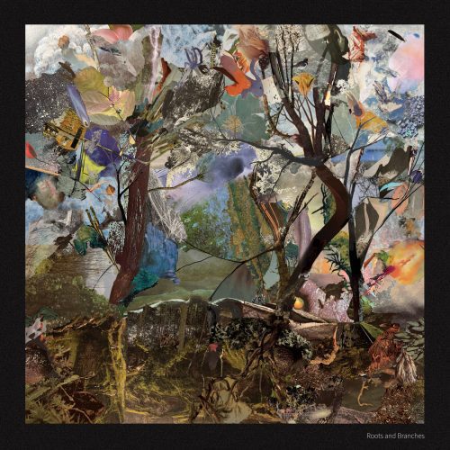 Daniel Green – Roots and Branches