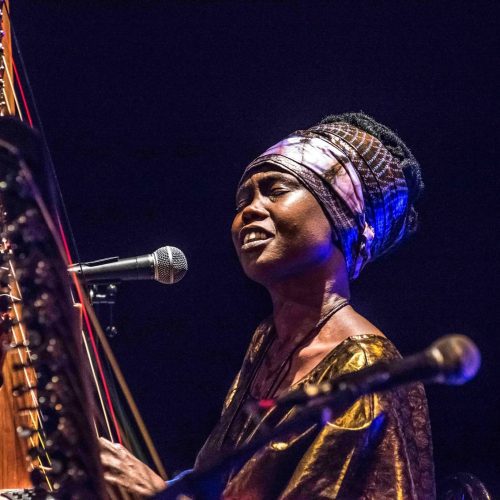 Nuits d&rsquo;Afrique 2026 | Senny Camara et Yamoussa Bangoura unissent leurs cordes