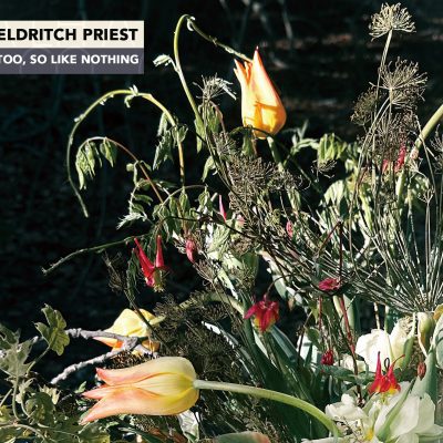 Eldritch Priest – Too, So Like Nothing
